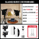 神牛（Godox）SL60IID二代SL60IIBi雙色溫直播補光燈LED攝影燈視頻常亮美顏拍照攝影棚賣貨打光柔光發(fā)絲燈 【11】SL60WII兩燈套裝-柔光箱*2 SL60IID-白光版