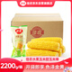 佳農(nóng) 東北水果玉米甜玉米棒10袋*220g 真空包裝 開袋即食  源頭直發(fā)