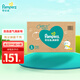 幫寶適（Pampers）清新幫尿不濕嬰兒紙尿褲拉拉褲 L112片【紙尿褲】