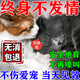貓咪禁情公母貓專用抑情絕育口服液貓咪抑情寵物避孕藥亂尿嚎叫 【一盒裝】發(fā)情專用