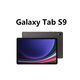 SAMSUNG平板電腦Tab S9安卓旗艦驍龍8Gen2動態(tài)魔麗屏120Hz帶SPen筆 云影灰WiFi版【12G+256G】 官方標(biāo)配（帶Spen筆和充電器）