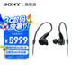 索尼（SONY） IER-M9 五單元?jiǎng)予F入耳式4.4平衡耳機(jī)舞臺(tái)監(jiān)聽(tīng)耳機(jī) 黑色 IER-M9 五單元監(jiān)聽(tīng)耳機(jī)
