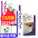 【包郵】人民文學雜志2025年1-8月現(xiàn)貨【全年/半年訂閱/2024年1-12月可選】十月現(xiàn)代文學中長篇小說文摘文學非過刊 現(xiàn)貨【共2本】25年7/8月 送書簽