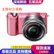 索尼（SONY）A5000 A5100 A6000 A6100 A6400 二手微單數碼相機入門(mén)級 索尼A5000+16-50套機/粉色 99新