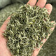 無(wú)錫毫茶無(wú)錫馬山特產(chǎn)2026明前綠茶濃香新茶100g罐裝原生態(tài)茶葉