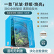 千纖草海藻面膜抗皺緊致補水保濕舒緩溫和無刺激20片