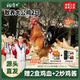 楊博士【大公雞】安徽皖南深山土雞生鮮食材整只2.6斤走地雞源頭直發(fā) 2只大公雞（凈重5.2斤）