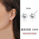 栢啟歆999銀耳釘女耳骨釘養(yǎng)耳洞鋯石耳飾耳環(huán)睡覺免摘簡(jiǎn)約高級(jí)感銀飾 梅花鋯石耳釘5mm