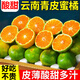 粵迎云南青皮蜜橘酸甜口感特早熟桔子蜜桔新鮮水果當(dāng)季整箱青皮柑橘籽 5斤精選果【果農(nóng)手挑】凈4.5斤