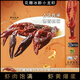 蟹家大院花雕熟醉特大小龍蝦冰鎮(zhèn)即食鮮嫩美味肉質(zhì)飽滿18只裝1800g盒裝 蟹青龍花雕熟醉特大小龍蝦18只裝 送花生、姜茶