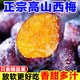 庾豐當(dāng)季現(xiàn)摘西梅 新鮮水果 孕婦藍(lán)蜜法蘭西梅團(tuán)購(gòu)送禮 5斤裝（凈果4.5斤）果王