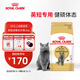皇家貓糧 英短成貓糧 BS34 通用糧 12月以上 2KG
