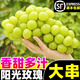 陽(yáng)光玫瑰葡萄新鮮水果5斤晴王葡萄無(wú)籽香印提子青提當(dāng)季整箱順豐 【2斤】新鮮超甜，不甜包賠
