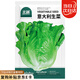 北蔬意大利生菜種子苗四季速生陽臺種菜籽 意大利生菜種子3g約1800粒