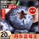 尋良萬畝藍寶級·丹東花香藍莓【JD/順豐-多地次日達】新鮮水果送禮物盒 125g*12盒【蕞劃算】丨凈100g 超大果20mm+丨甜