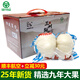 沛盛九年生蘭州百合新鮮甘肅蘭州鮮百合特產(chǎn)食用甜百合真空包裝順豐 精選大兩頭皇3斤 【禮盒裝】