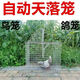 饃彭捕野生鳥(niǎo)神器戶(hù)外用鴿鳥(niǎo)籠鴿籠養殖廠(chǎng)自動(dòng)天落籠旋轉籠翻板籠鍍鋅 【50*36*50】高靈敏度翻板籠