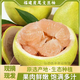 （預售）度尾文旦柚紅心柚仙游30年老樹(shù)紅心蜜柚現摘當季孕婦水果 袋裝（中大果） 5斤（30年老樹(shù)）