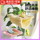 颯驕鸚鵡鳥窩吊床懸掛涼席窩鸚鵡軟床掛窩睡覺窩玄鳳虎皮寵物用品玩具 雙層黃色吊床-小號【夏冬兩用】