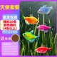 天使魚(yú)大號觀(guān)賞魚(yú)熱帶魚(yú)群游七彩紅天使紫天使檸檬黃淡水好養耐活 2.5-3cm隨機30條【4色以上】