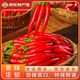 現摘小米椒原產(chǎn)地直發(fā)家庭廚房必備自然成熟健康辣味更安心 新鮮現摘精選100g（嘗鮮裝）