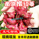 桃西村【順豐速運(yùn)】浙江嘉興特產(chǎn)南湖菱四角紅菱角新鮮當(dāng)季嫩菱角生吃 1000g 嫩菱角（只能生吃炒菜，不能水煮吃）