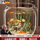 京厽圓形魚(yú)缸塑料一體成型防摔耐摔不壞高透仿玻璃客廳小型桌面生態(tài)缸 主圖款超大號(hào)超清8K高透/久用不糊/摔不碎