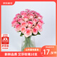 京東鮮花艾莎玫瑰花10枝山東基地送閨蜜女朋友禮物枝長(zhǎng)40cm源頭直發(fā)