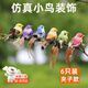 圣璃仿真小鳥(niǎo)陽(yáng)臺(tái)花園庭院裝飾家居擺設(shè)裝飾品擺件仿真小鳥(niǎo)玩具禮物 仿真小鳥(niǎo)6只裝【顏色隨機(jī)】