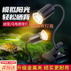 烏龜燈曬背燈全光譜uvb巴西龜守宮照背燈爬寵蜥蜴加熱燈補(bǔ)鈣專用 黑色可調(diào)光曬背燈+50W燈泡