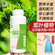花來美觀葉通用型營養(yǎng)液黃楊樹花肥豆瓣綠冬青肥料發(fā)財樹綠蘿增綠防黃葉 觀葉植物通用營養(yǎng)液*1瓶養(yǎng)護精選