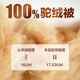 速排濕發(fā)熱駝絨被100%純駱駝絨被子冬被加厚保暖新疆駝絨被芯正品 淺蕓金 150*200cm 凈充絨1斤（空調夏涼被）