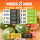 華慕華慕西瓜，4種甜度-華慕水果，一果一測，口感不拆盲盒-送到家 45斤（6-8個(gè)西瓜，更實(shí)惠） 甜度90°-蜜甜果肉脆-上品
