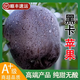 甘肅天水通黑卡黑蘋果水果黑鉆新鮮脆甜粉面口感紫色嘎啦新品種SS 3斤 60mm【含】-65mm【不含】