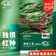 壽禾韭菜種子苗紫根寬葉四季菜籽 壽韭2號紫根韭菜(獨根紅)種子25g
