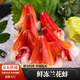 蘭花蚌北極冰山蚌新鮮冷凍解凍即食日料店同款刺身北極貝裙邊 500 精品蘭花蚌 500g(凈重)  *1包