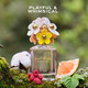 馬克莫杰Marc Jacobs馬克莫杰MJ Daisy 粉色/夢境/雛菊花語女士香水100ml 雛菊花語-75ml