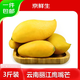 京鮮生 云南鷹嘴芒凈重3斤裝 單果200g+ 生鮮水果源頭直發(fā)