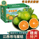南步江西尋烏蜜桔 贛南特產(chǎn)酸甜口桔子薄皮無籽青皮蜜橘新鮮孕婦水果 凈重9斤 精選大果【約44個內(nèi)】