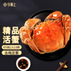 【活蟹】今錦上蘇州大閘蟹2.3-2.6兩 6只鮮活六月黃現(xiàn)貨螃蟹生鮮禮盒 去繩足重源頭直發(fā)