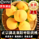 果益壽【順豐直達】湖北棗陽黃桃錦繡黃桃正宗襄陽棗陽皇桃脆甜桃子現(xiàn)摘 棗陽黃桃 2500g