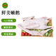 屋下鵝 嫩鵝 6斤/個 冷凍 散養(yǎng) 農(nóng)家散養(yǎng)土鵝嫩鵝冷凍整只鵝肉新鮮大鵝