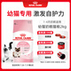 皇家幼貓奶糕 幼貓貓糧 BK34 通用糧 1-4月 2KG