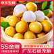 優(yōu)味集龍眼新鮮水果【JD順豐速發(fā)】廣東石硤桂圓老樹果應(yīng)季孕婦水果整箱 4.8斤凈重裝（家庭暢享）-順豐 鮮采帶枝