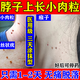 維a酸乳膏去疣醫(yī)用去疣膏去疣專用藥疣瘊靈去除脖子小肉粒扁平疣特正效藥扁平疣絲狀疣專用疣體脫落皮膚用藥 1盒【醫(yī)用級(jí)去疣專用藥膏】