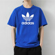 阿迪達斯 （adidas）t恤男裝短袖三葉草2025夏季新款純棉半袖男士休閑上衣 純棉IZ3058藍色 L 推薦170-190斤