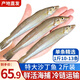 朵芙海捕沙丁魚(yú) 3斤 海魚(yú)活凍沙尖沙鉆冷凍 燒烤海鮮水產(chǎn)魚(yú)類 2斤【14-18cm】無(wú)冰凈重