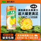 綠力臺灣果汁飲料水蜜桃紅芭樂(lè )番石榴檸檬維c水果味飲品露營(yíng)小聚果汁 【菠蘿汁】490ml*6罐