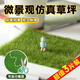 蒲戀仿真草坪苔蘚微景觀(guān)擺件人造小草坪綠色動(dòng)物搭配裝飾品方型草皮紙 【15cm*15cm】超值3片裝