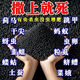 蠐螬根蛆螻蛄潮蟲(chóng)蜈蚣爬蟲(chóng)菜地上地下害蟲(chóng)果樹(shù)蔬菜土壤農(nóng)藥殺蟲(chóng)劑 【強(qiáng)效殺蟲(chóng)-最新配方】 【地上地下百蟲(chóng)清】1袋【可管1畝